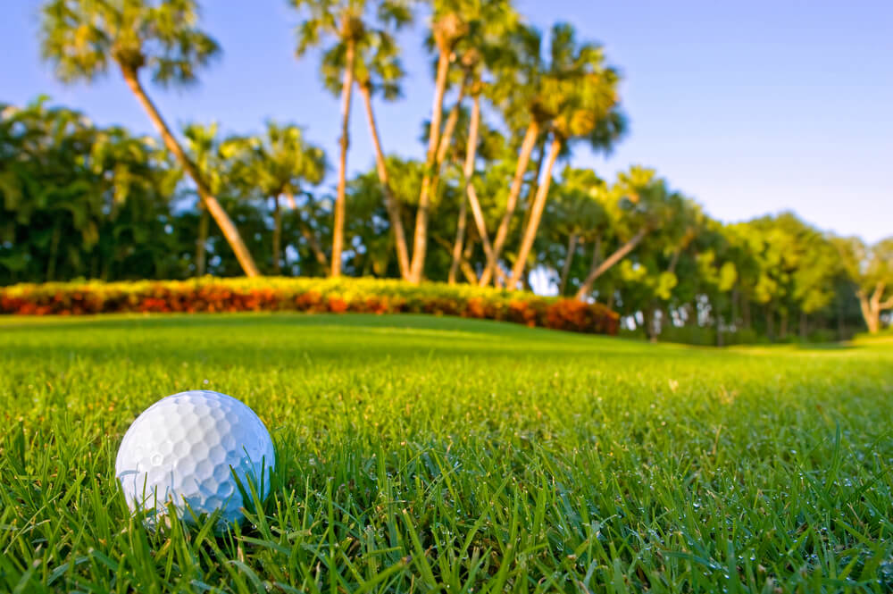 Picture of Best Golf Courses in the Bahamas