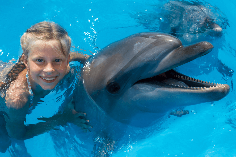 Phot of a girl swimming with dolphins in the Bahamas