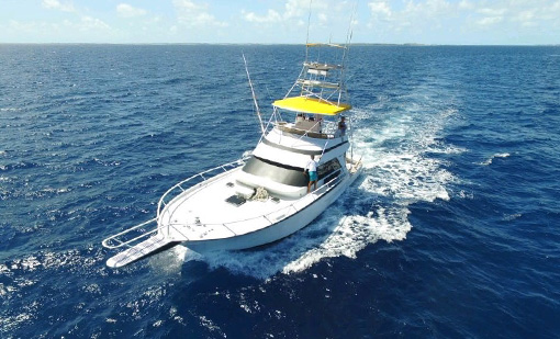 A photo of one of the top Bahamas boats and charters that offer tours