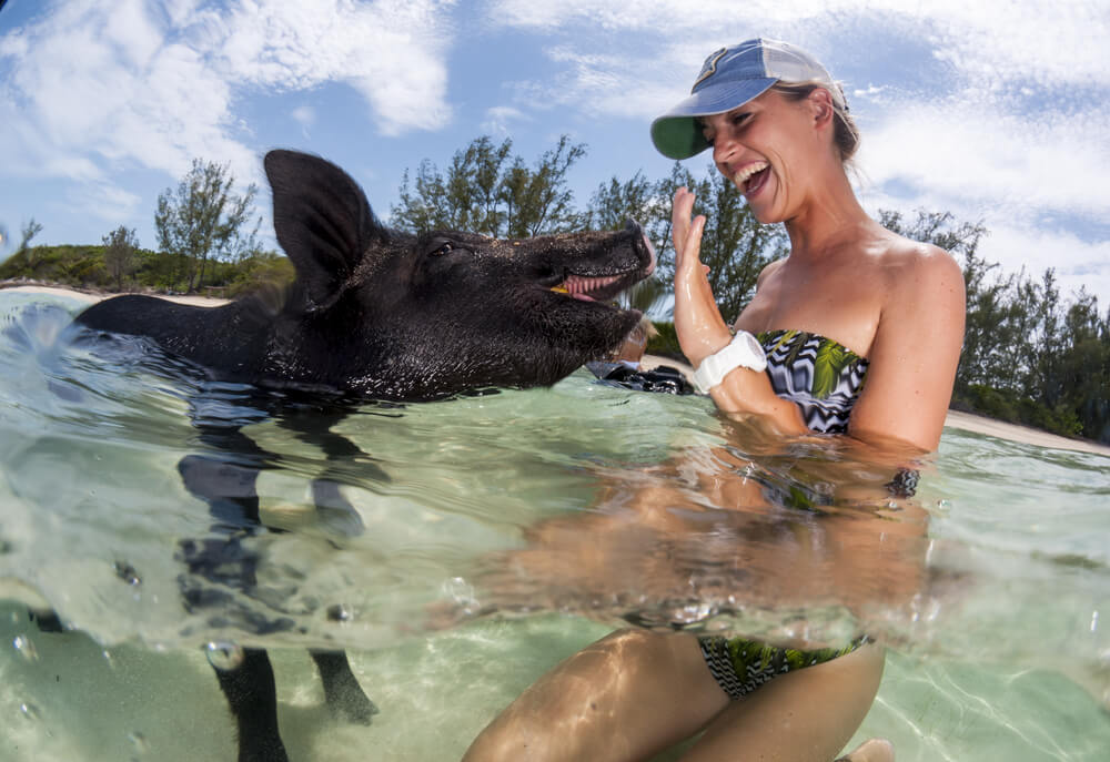 A photo of a woman swimming with pigs in the Bahamas, which top boats and charters can take visitors to.