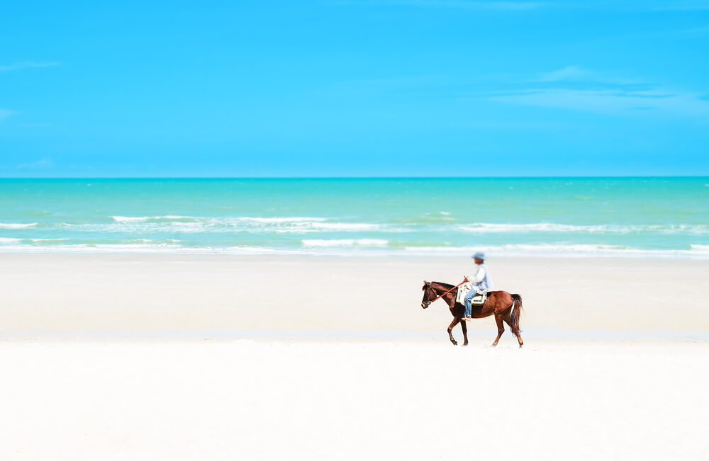 A person horseback riding on the beach in Nassau, Bahamas.